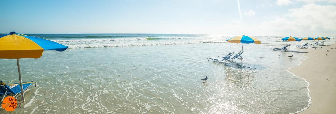 daytona-beach-umbrellas-set-up-and-ready-to-go-1.jpg
